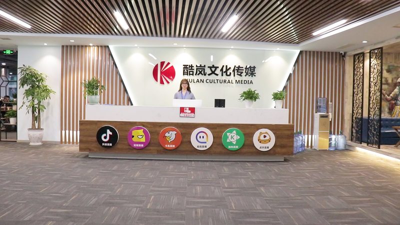 产品宣传片配音：性价比背后的考量因素